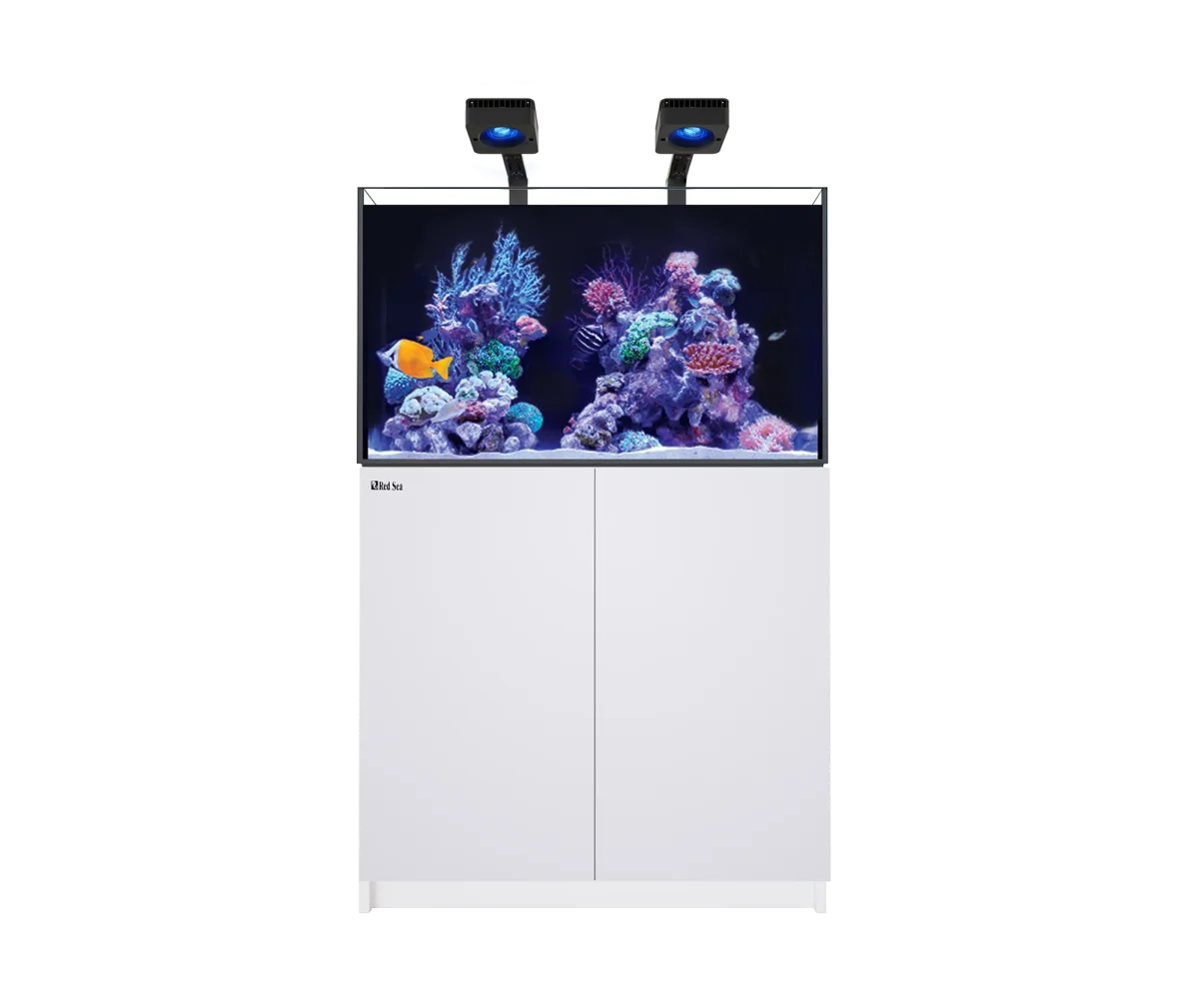 Red Sea Reefer MAX 250 G3 Aquarium - Bild 4
