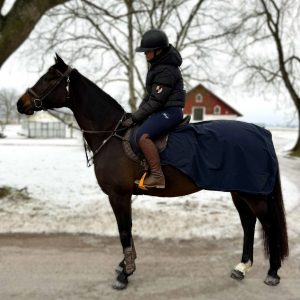 Rid/skrittäcke Cavaljorid