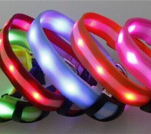 Led Halsband Hund