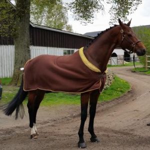 Santa Cruz of Scandinavia. HRS Fleecetäcke Diamant.