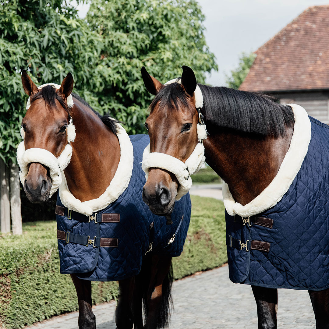 Kentucky Showrug 160g Navy - Bild 3