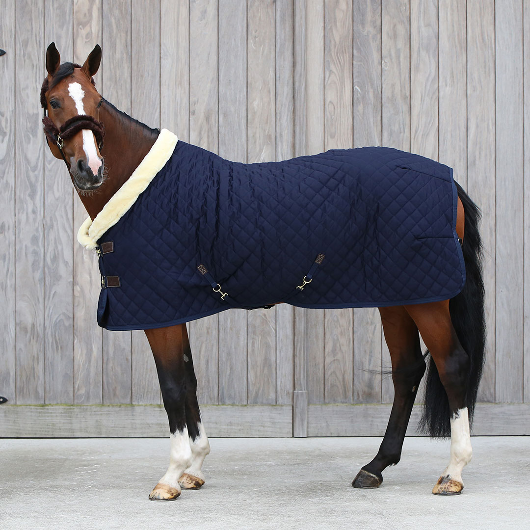 Kentucky Showrug 160g Navy - Bild 2