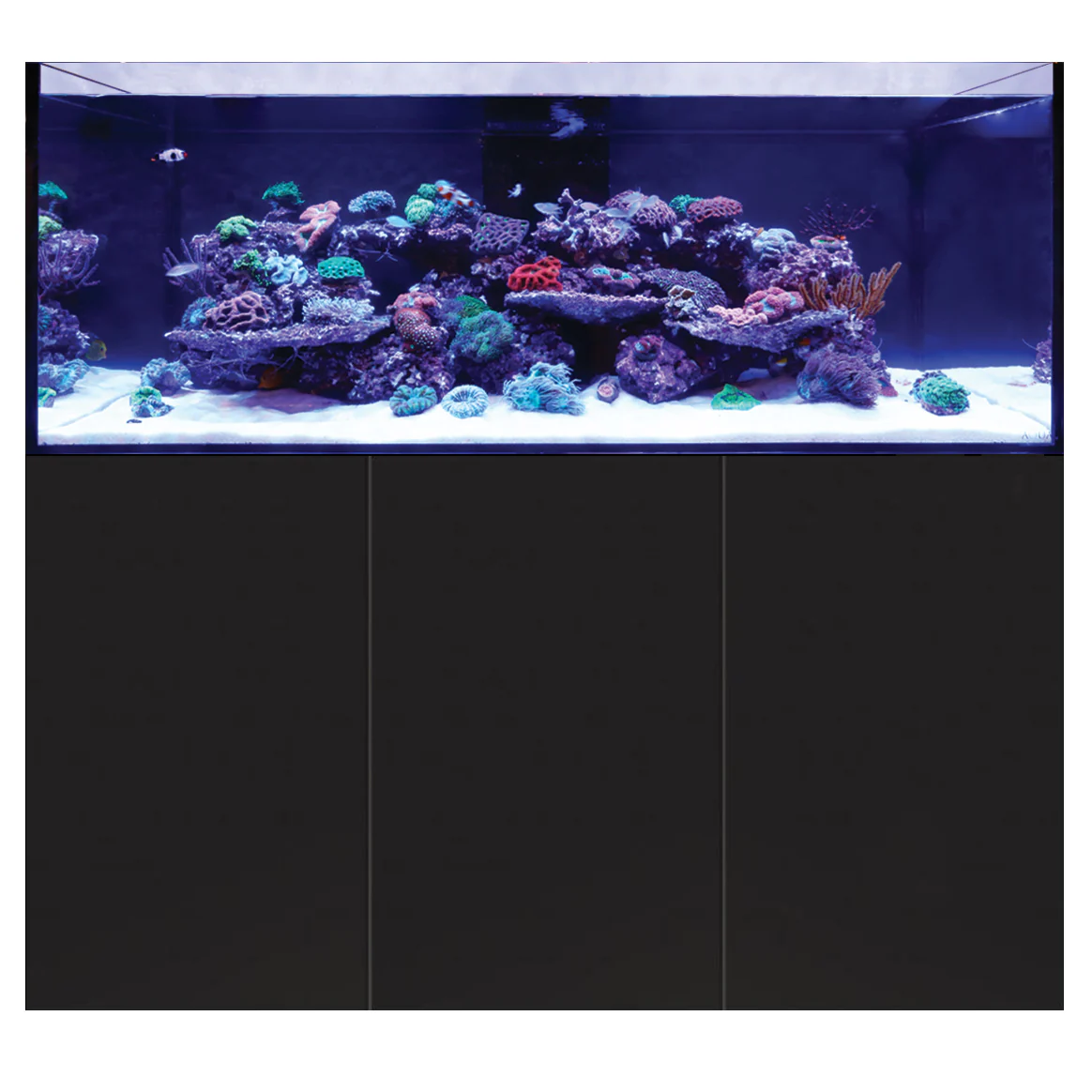 D-D Aqua-Pro Reef 1500 Tank & Cabinet (Satin Black) - Bild 3