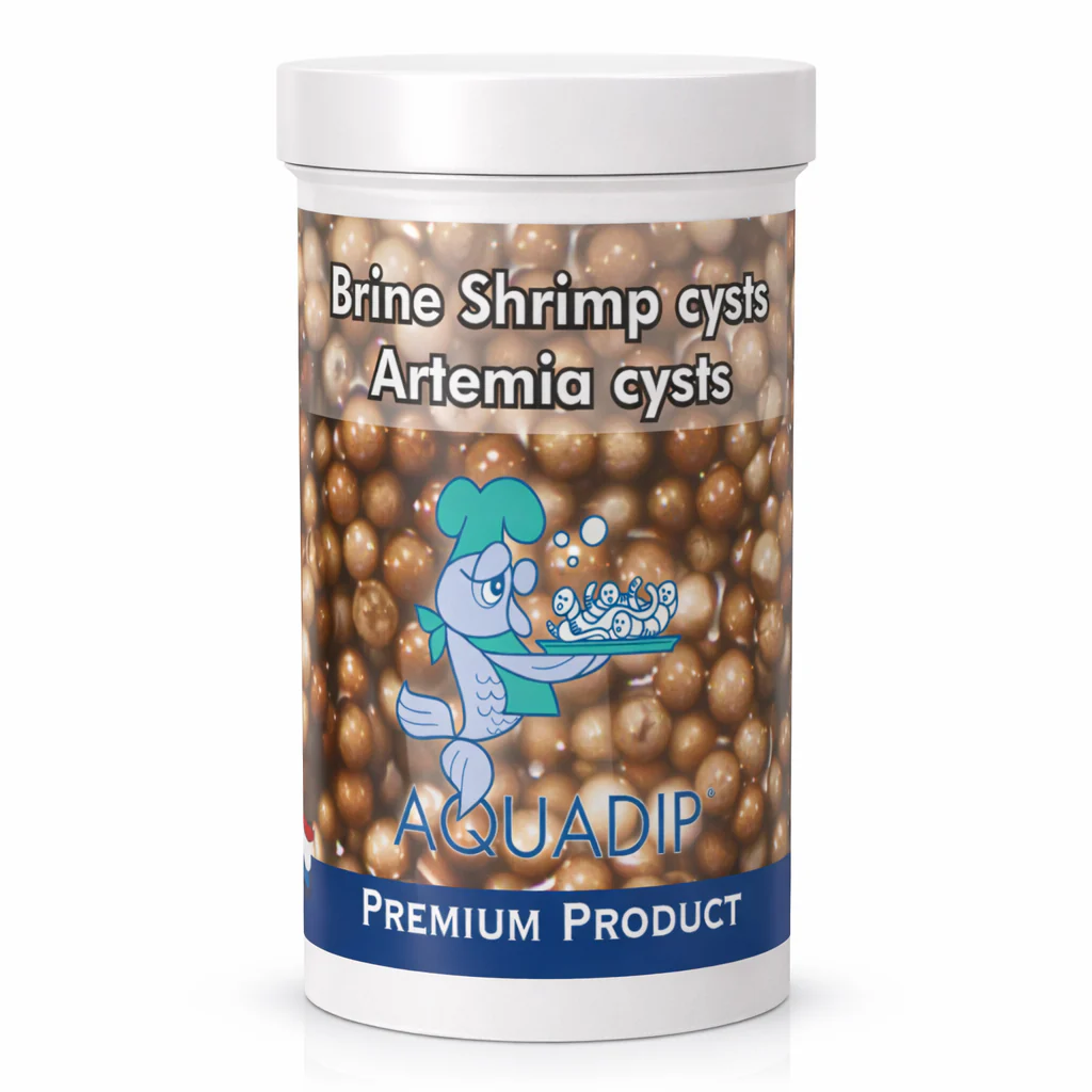 Artemia Brine Shrimp Cysts 40g High Hatch Rate Fish Fry Food Live Feed - Bild 2